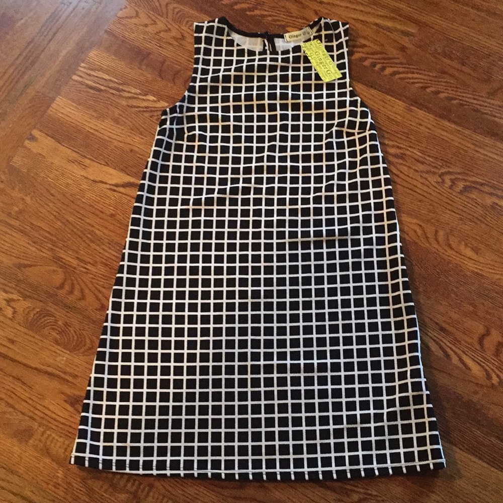 NWT Ginger G dress